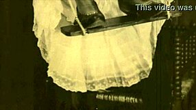 vintage swingers expose hairy beavers and tits.