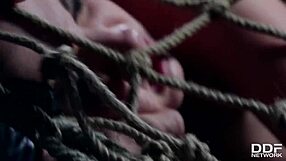 Double penetration and humiliation for teen in triple play