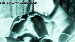 Vintage erotic art collection