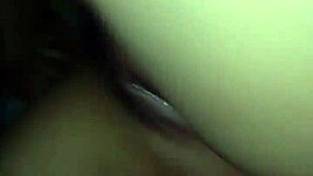 Mexican Romance With María Limón Cecilio