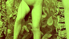 vintage swingers expose hairy beavers and tits.