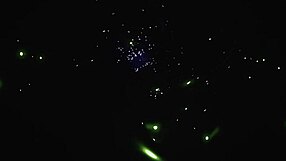 यो, कभी गए हो कर्स्ड आइलैंड पर मॉन्स्टर ऑर्गी के साथ 3D कार्टून में?