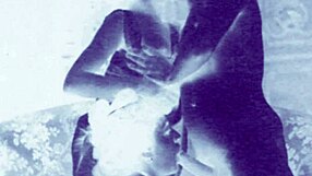 Vintage erotic art collection