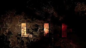 Vintage Erotic Illustrations