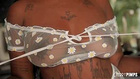 Big Tits Ebony Beauty Daizy Cooper Seduces Troy Francicso Into Rimjob And Pussy Licking Before Fucking