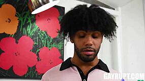 Bro job tony genius brody meyer