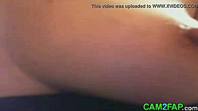 French amateur webcam masturbation session