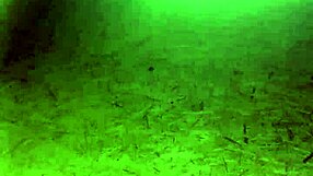 Intense Gay Encounter With Passionate Actions