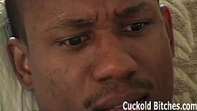 Watch tight pussy destroyed by BBC