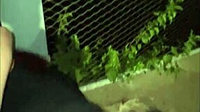 Curly Latina Babe Rides Big Black Cock Doggy Style After Blowjob