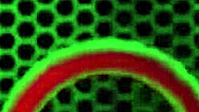 Adriana Chechik's Big Clit and Juicy Pussy Fucked Hard