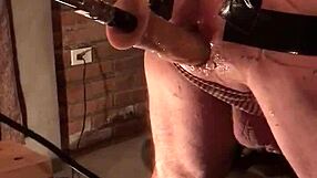 want one more fucking session from last night?