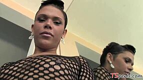 Small Titted Tranny Crystal Works It Solo in Casual Style