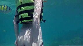 Veronikavonk flashes big tits on beach.