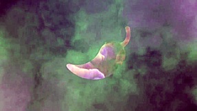 uber of sex route madureira mission gives ass as birthday gift to francesco