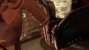 want one more fucking session from last night?