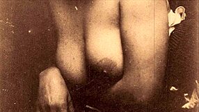 Dark Lantern Entertainment Shows Vintage Porn With Mature MILF And Hairy Scenes