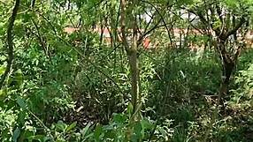 Maduro Trabalhador Da Fazenda Trepando Com Servente De Pedreiro Dentro Do Mato