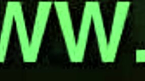 Vintage Erotic Art Collection