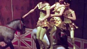 vintage erotic drawings bring old-school charm to life