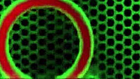 busty classmates like sara jay make school so much fun to attend