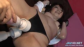 japanese pussies for connoisseurs vol 8