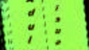 Leap Of Faith 128 Game Challenge