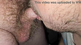 gay blowjob session with intense sucking