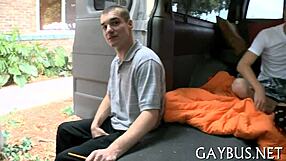 non-professional homosexual sex in everyday settings