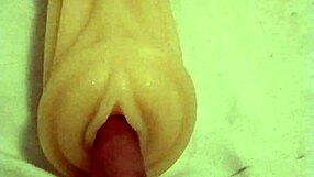 playing with artificial toys in solo fun sessions