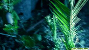 Neighbors Aaron Trainer And Max Lorde Fuck Before Guest?