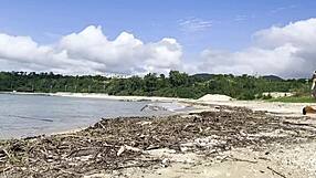 Pretty Asian Girl Cleans Natural Beach at Pacific Ocean