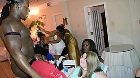 Jamaican Stripper Rips Clothes to Reveal Big Black Cock for Milfs