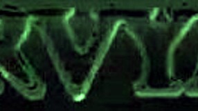 The horny MILF joins the teen threesome for intense blowjobs