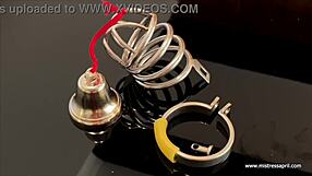 dominatrix mistress april treats ms kittens private patient