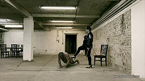 dominatrix mistress april treats ms kittens private patient