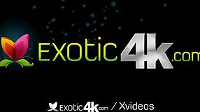 Exotic4k horny chicks stuff huge dicks in mouths, wow!