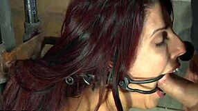 Hottie receives rod shovelling in hardcore bdsm contest!