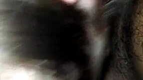 amateur interracial couple engages in blowjob with deepthroat, moaning loudly throughout the session