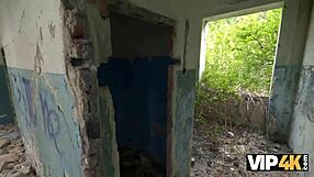 vip4k echoes of intense action