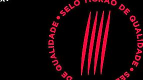 Hell Yeah! Bruna Lambertini’s Big Tits and Ass Take Deepthroat Action!