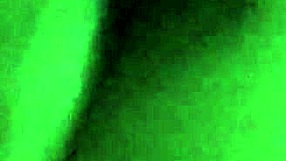 ex-gf's sweet pussy gets licked wet and dripping