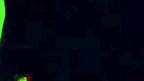 Sex Tape Of Hot Young Couple Bent Over Doggystyle With Cumshots