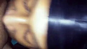 bbw gettinme head from rookie with fat pussy licking