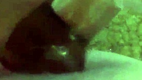 wow! fat bbw inserts anal plug and masturbates with g-spot vibrator to squirt!