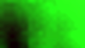 Latina Babe With Big Cock Sucking Skills