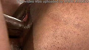 Sydnee Capri's fishnet-clad body taking cock in cowgirl and blowjob