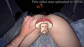 I compiled happy 420, man