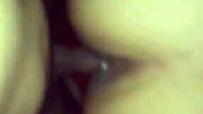 mexican amateurs enjoy morning quickie session