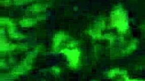 Beautiful Face and Hard Cock Shemale Stephanie Clover Masturbates